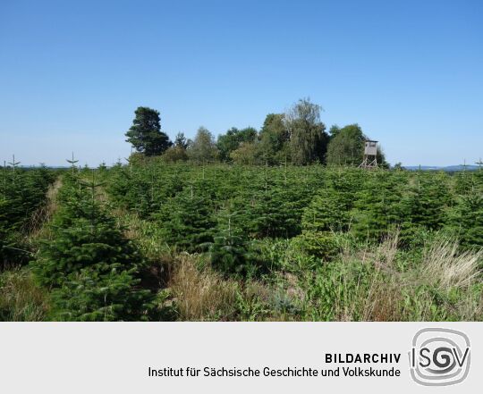 Blick zur Bergener Höhe.