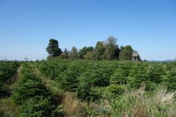 Blick zur Bergener Höhe.