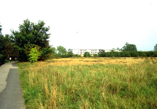 Auf dem Wasserberg Freiberg.