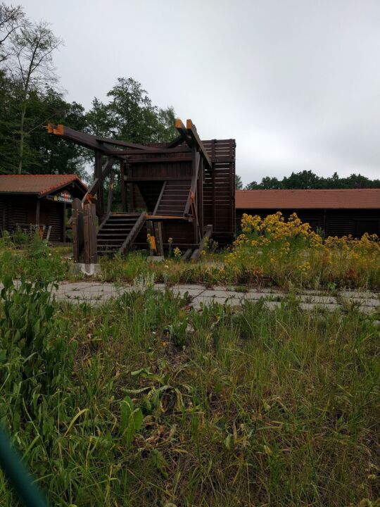 Der gefällte Aussichtsturm Zum Fernblick in Zwickau-Marienthal.