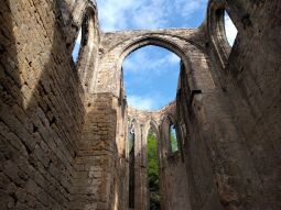 In der Ruine der Klosterkirche auf dem Berg Oybin.