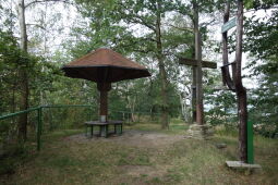 Pilz auf der Morgensternhöhe bei Ansprung.