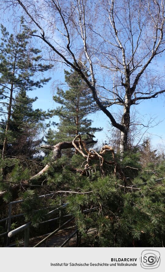 Zugang zur Fuchskanzel am Strassberg im Zittauer Gebirge.