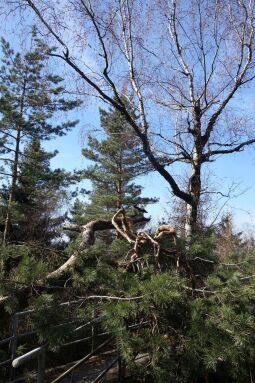 Zugang zur Fuchskanzel am Strassberg im Zittauer Gebirge.