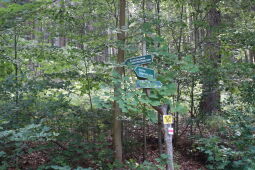 Wegweiser am Bruchberg bei Olbernhau.