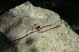 Reste des Geländers am ehemaligen Aussichtspunkt Bruchbergfelsen.