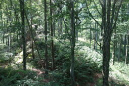 Der heutige Ausblick vom ehemaligen Aussichtspunkt Bruchbergfelsen.