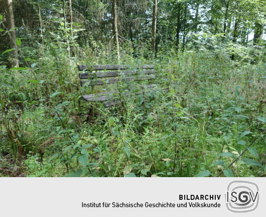 Ruhebank in der Nähe des ehemaligen Aussichtspunktes Bruchbergfelsen.