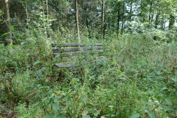 Ruhebank in der Nähe des ehemaligen Aussichtspunktes Bruchbergfelsen.