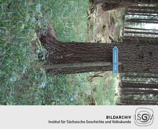 Wegweiser zum Sophienstein am Bruchbergweg der ehemaligen Vereinsstiege bei Olbernhau.