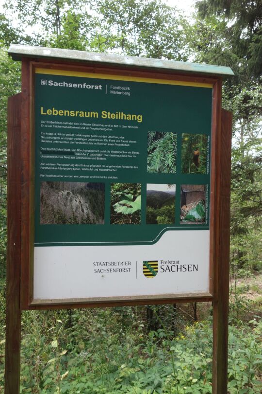 Infotafel vom Sachsenforst am Stößerfelsen bei Olbernhau.