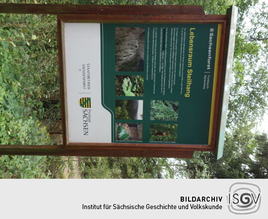 Infotafel vom Sachsenforst am Stößerfelsen bei Olbernhau.