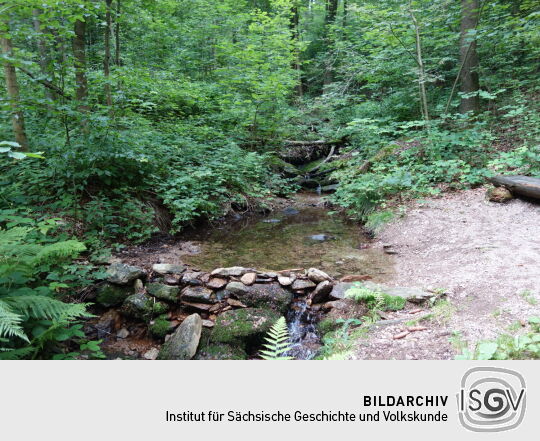 Wassertretstelle am Dörfelbach bei Olbernhau.