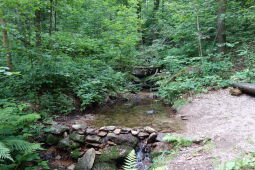 Wassertretstelle am Dörfelbach bei Olbernhau.