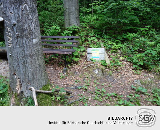 Wassertretstelle am Dörfelbach bei Olbernhau.