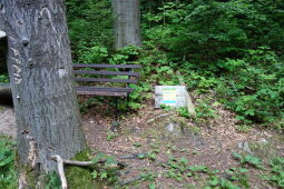 Wassertretstelle am Dörfelbach bei Olbernhau.