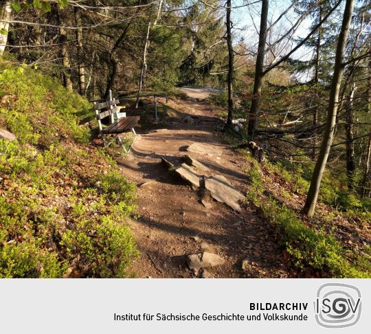 Der Weg zur Brückenklippe in der Wolkensteiner Schweiz.