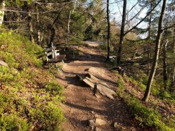 Der Weg zur Brückenklippe in der Wolkensteiner Schweiz.