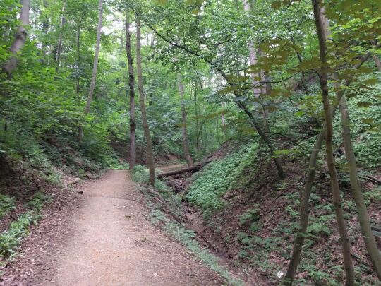 Im Knappengrund in Zwickau.