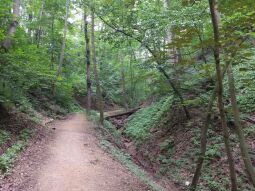 Im Knappengrund in Zwickau.