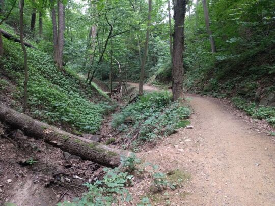 Im Knappengrund in Zwickau.