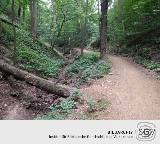 Im Knappengrund in Zwickau.