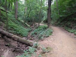 Im Knappengrund in Zwickau.