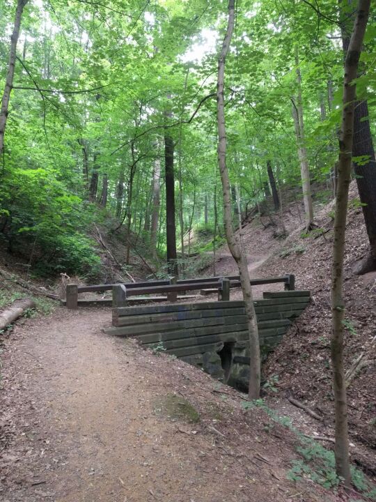 Im Knappengrund in Zwickau.