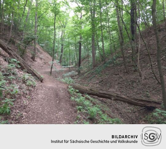 Im Knappengrund in Zwickau.