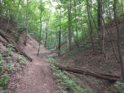 Im Knappengrund in Zwickau.