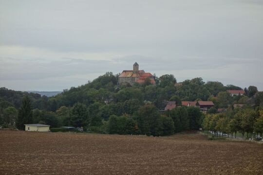 Blick über die Felder zur Burg Schönfels in Lichtentanne-Schönfels.