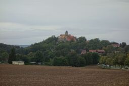 Blick über die Felder zur Burg Schönfels in Lichtentanne-Schönfels.