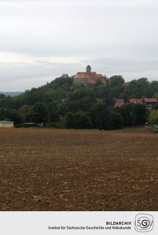 Blick über die Felder zur Burg Schönfels in Lichtentanne-Schönfels.