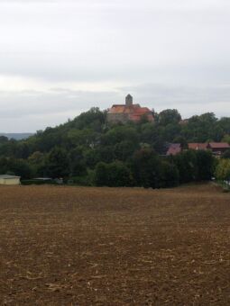 Blick über die Felder zur Burg Schönfels in Lichtentanne-Schönfels.