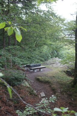 Bild: Der Aussichtspunkt Stiftskanzel über dem Schwarzwassertal bei Ansprung.