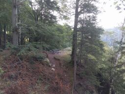 Der Aussichtspunkt Stiftskanzel über dem Schwarzwassertal bei Ansprung.