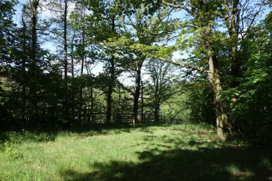 Die Terrasse der ehemaligen Gaststätte Goldene Höhe in Waldheim.