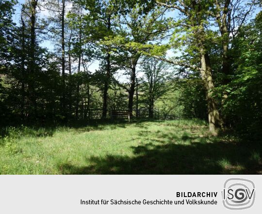 Die Terrasse der ehemaligen Gaststätte Goldene Höhe in Waldheim.