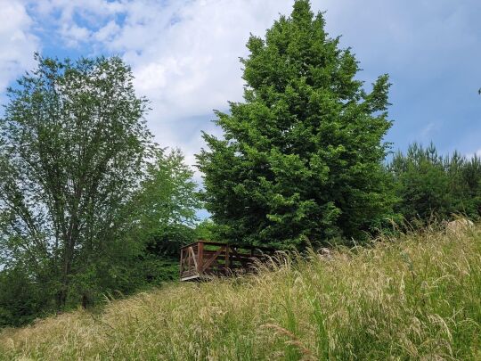 Der Aussichtspunkt Biedenkopfblick am Hammerberg bei Aue-Bad Schlema.