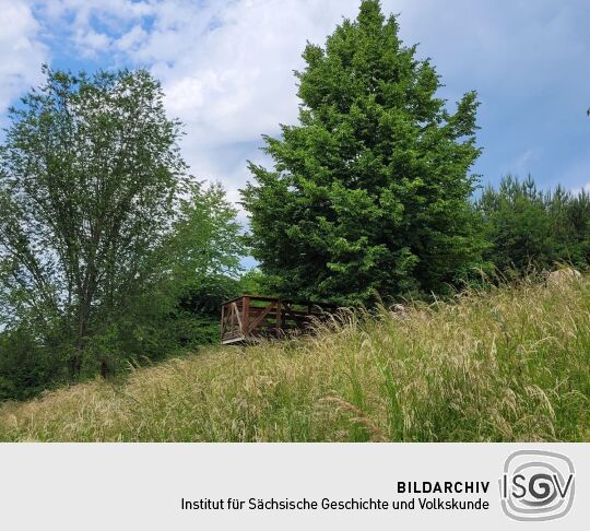 Der Aussichtspunkt Biedenkopfblick am Hammerberg bei Aue-Bad Schlema.