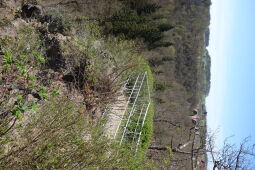 Der Aussichtspunkt Loreley über dem Tiebtal in der Vogtländischen Schweiz.