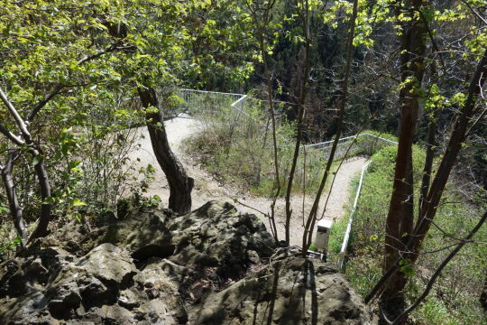 Der Aussichtspunkt Loreley über dem Tiebtal in der Vogtländischen Schweiz.