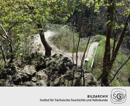 Der Aussichtspunkt Loreley über dem Tiebtal in der Vogtländischen Schweiz.