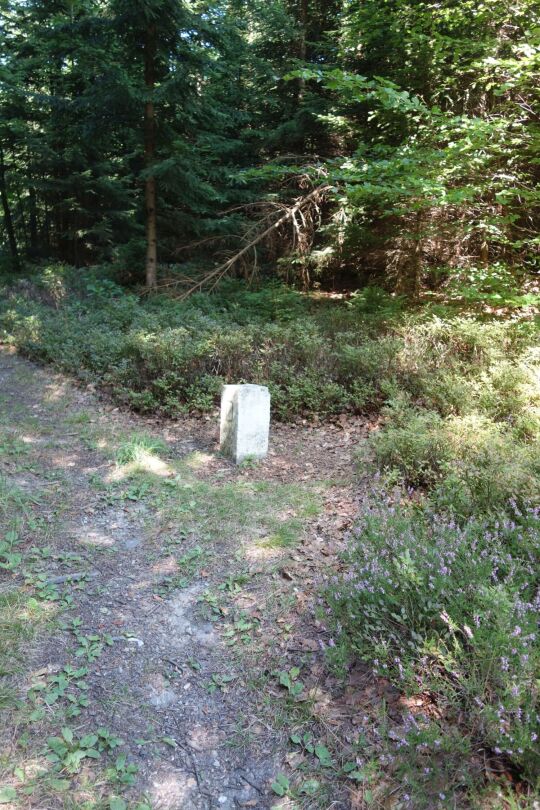 Der Grenzstein auf dem Weg zum Aussichtsfelsen Hoher Stein bei Erlbach (Vysoký kámen, Kraslice).