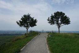 Bild: Blick zu Aussichtspunkt Sachsens Hiefel auf der Rockauer Höhe in Dresden-Rockau.