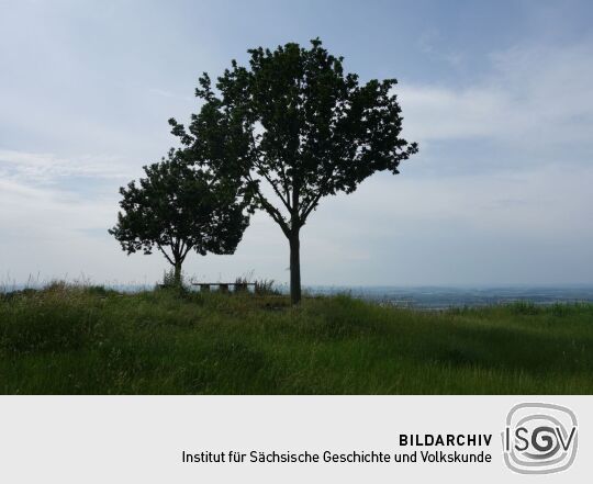 Blick zu Aussichtspunkt Sachsens Hiefel auf der Rockauer Höhe in Dresden-Rockau.