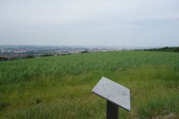 Bild: Orientierungstafel auf dem Aussichtspunkt Sachsens Hiefel auf der Rockauer Höhe in Dresden-Rockau.