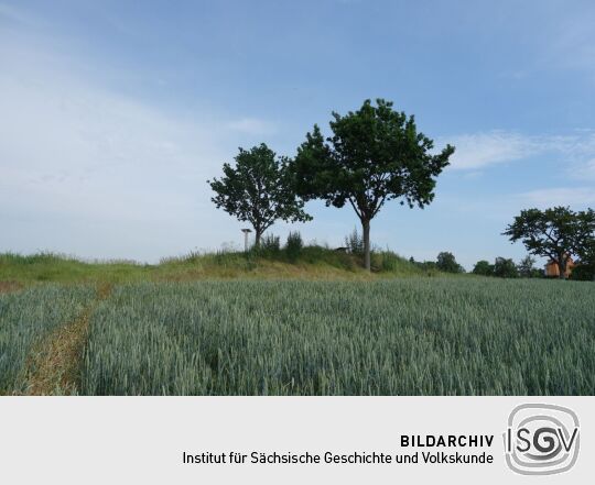 Blick zu Aussichtspunkt Sachsens Hiefel auf der Rockauer Höhe in Dresden-Rockau.