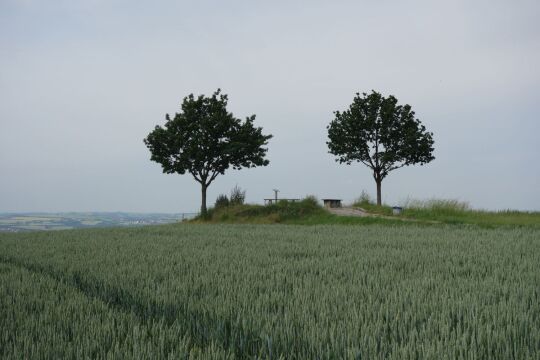 Blick zu Aussichtspunkt Sachsens Hiefel auf der Rockauer Höhe in Dresden-Rockau.