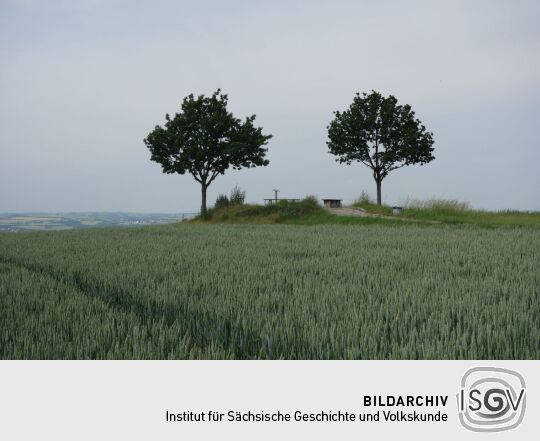 Blick zu Aussichtspunkt Sachsens Hiefel auf der Rockauer Höhe in Dresden-Rockau.